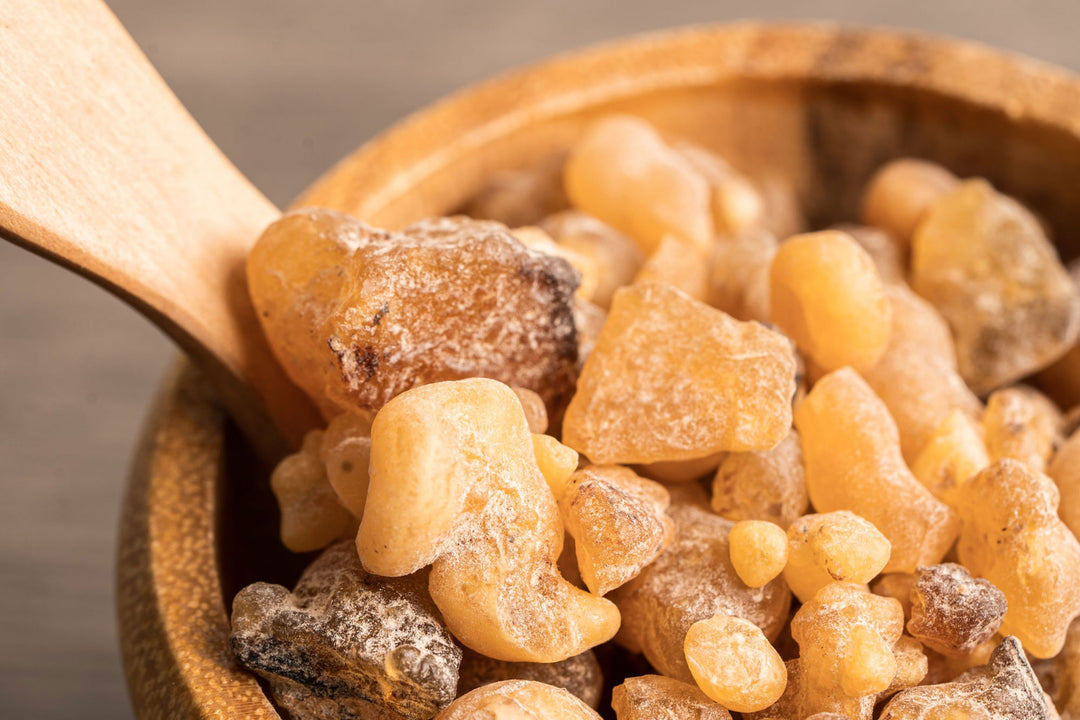 What is Frankincense? What Does Frankincense Smell Like?