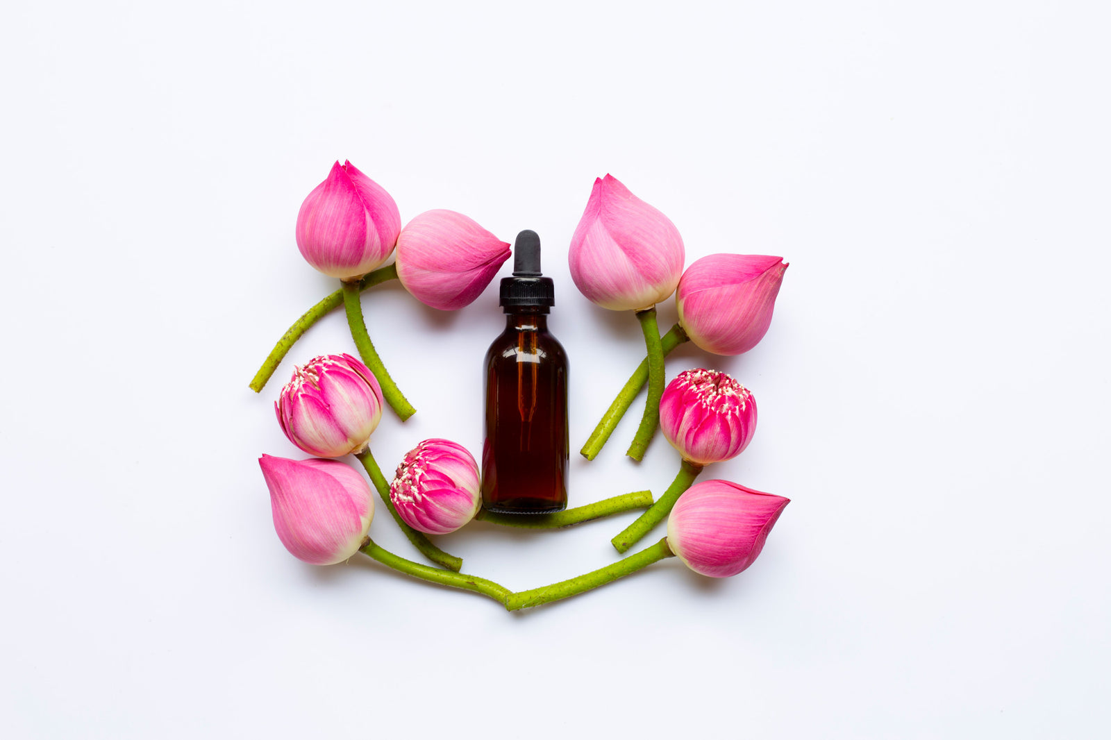 Benefits of lotus oil